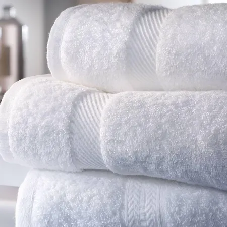 Hotel Due Pavoni Pesaro