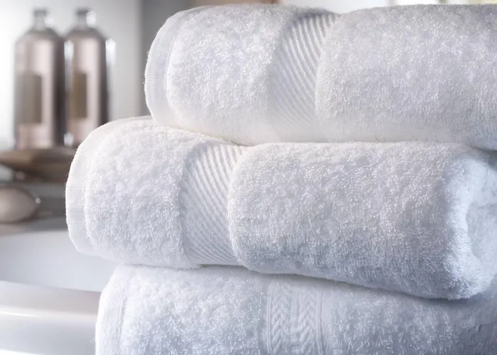 Hotel Due Pavoni Pesaro